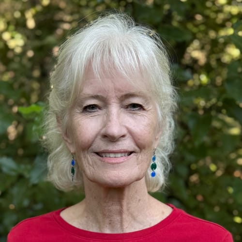 Headshot of T. Michaele McGinnis, LCSW