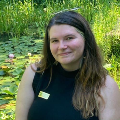 Headshot of Brandi Petrello, LCSW