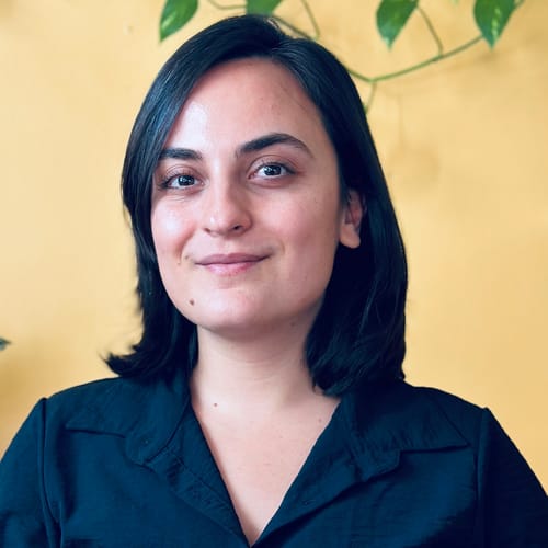 Headshot of Ameneh Astaneh, LMHC