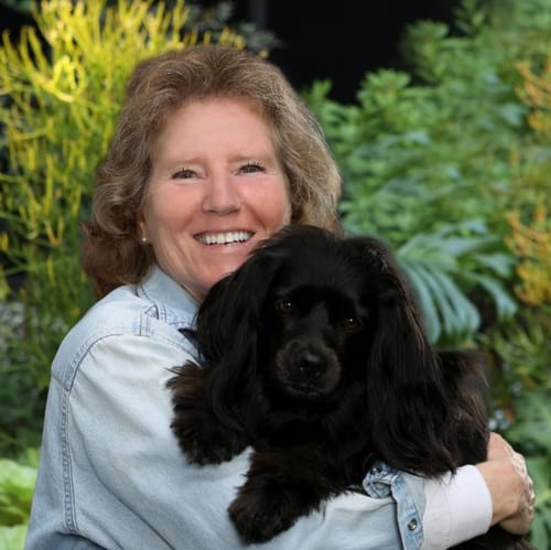 Headshot of Audrey Levy, LMFT